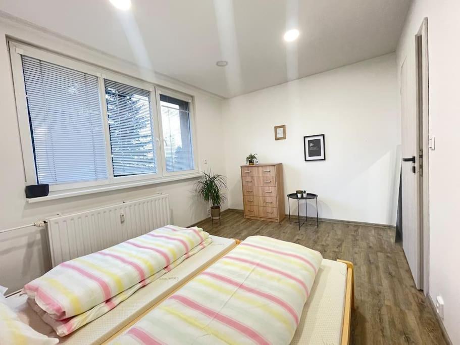 Krasny Zrekonstruovany Byt 3+1 Liberec Ngoại thất bức ảnh